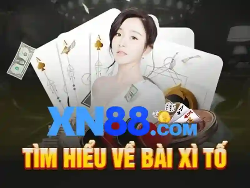 Lịch sử và phát triển