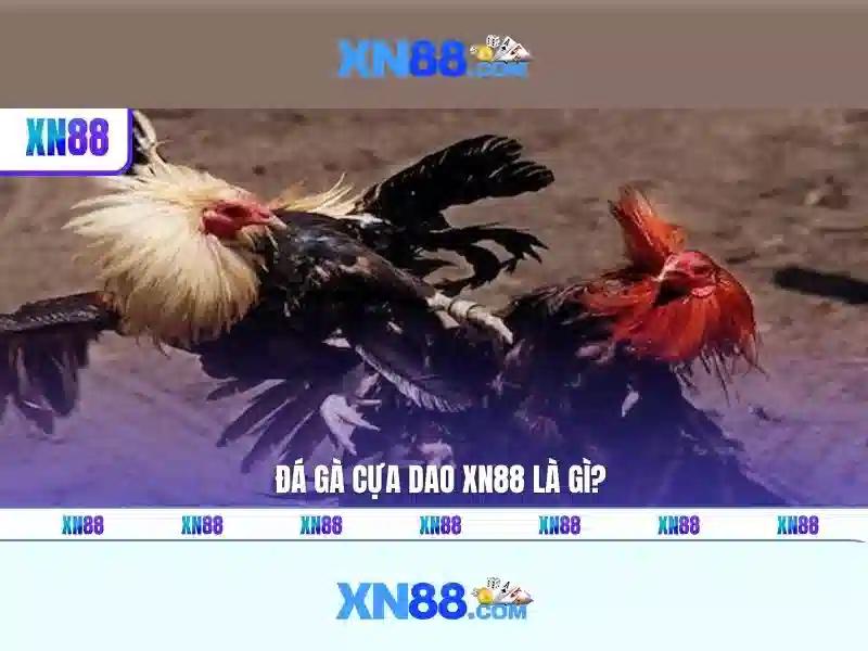 XN88: Giới thiệu và tổng quan về nền tảng chơi game trực tuyến