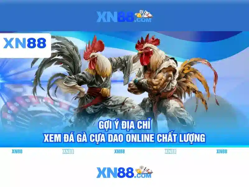 Hỗ trợ người chơi và nhận xét