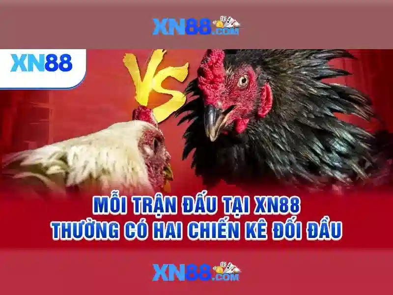 Trải nghiệm người dùng