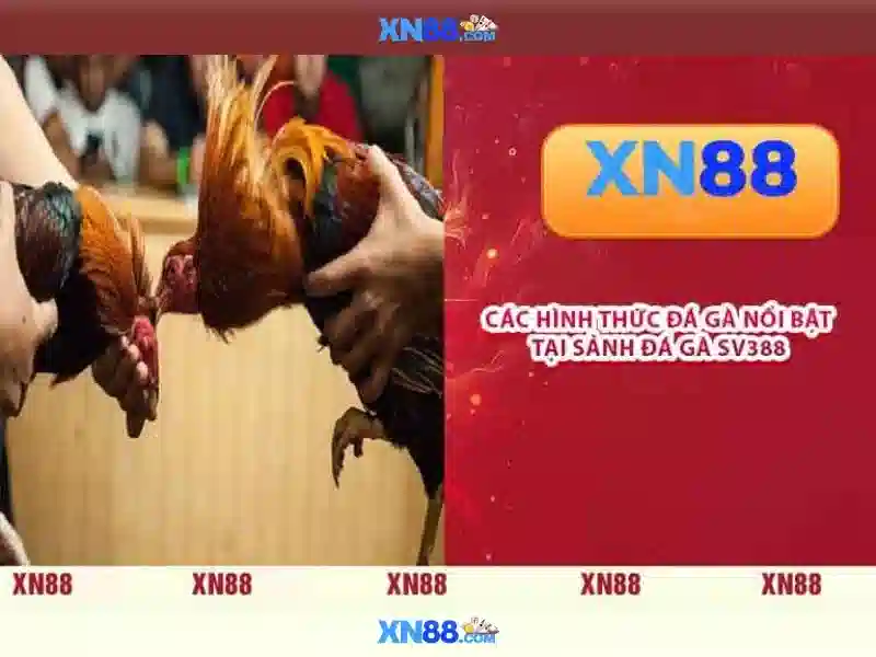 Hướng dẫn tham gia