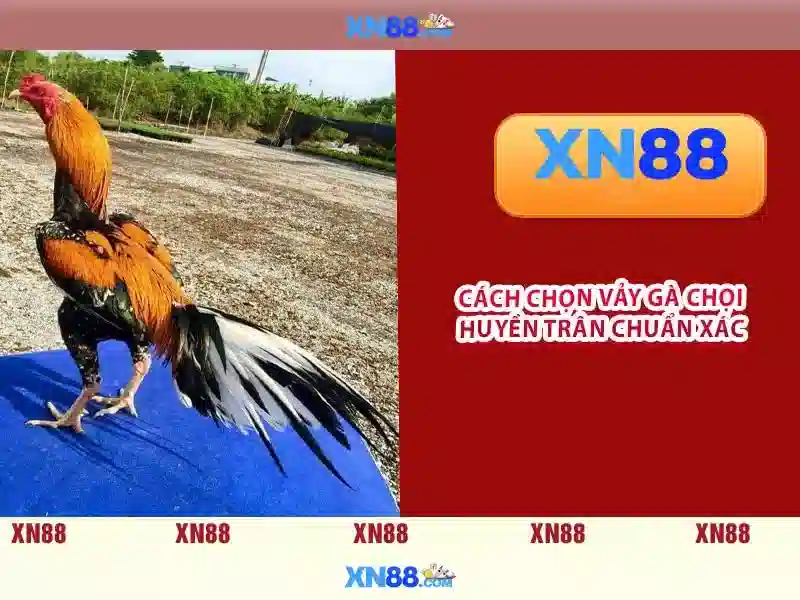 xn88: Giới thiệu về sàn chơi online và tính năng an toàn