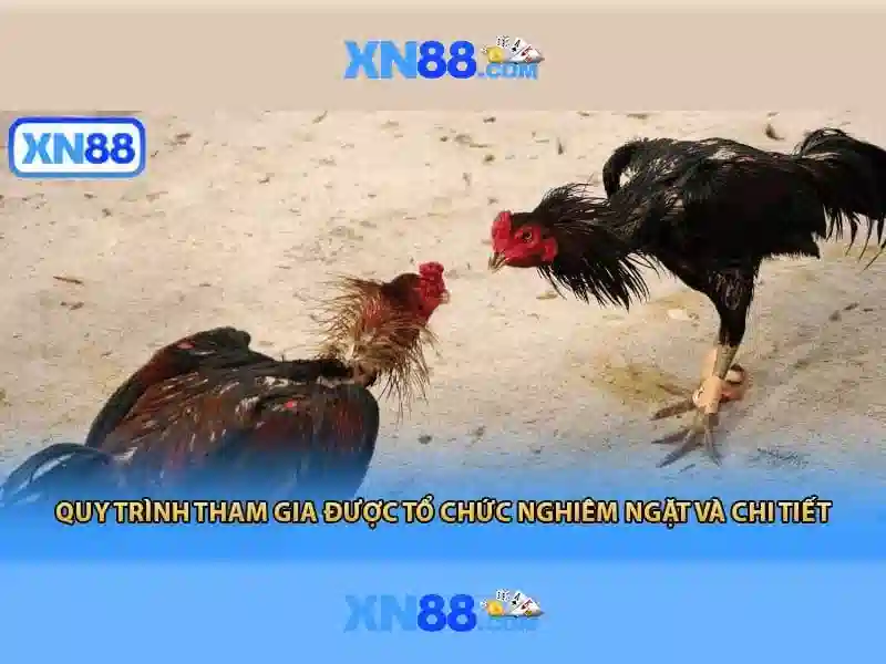 Giới thiệu về xn88