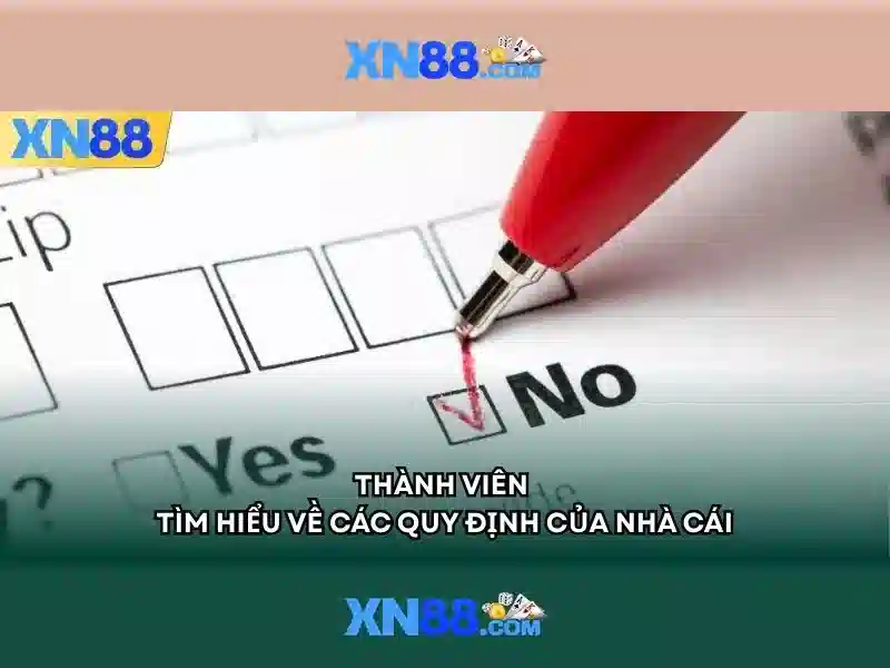 xn88: Khám phá nền tảng cá cược trực tuyến