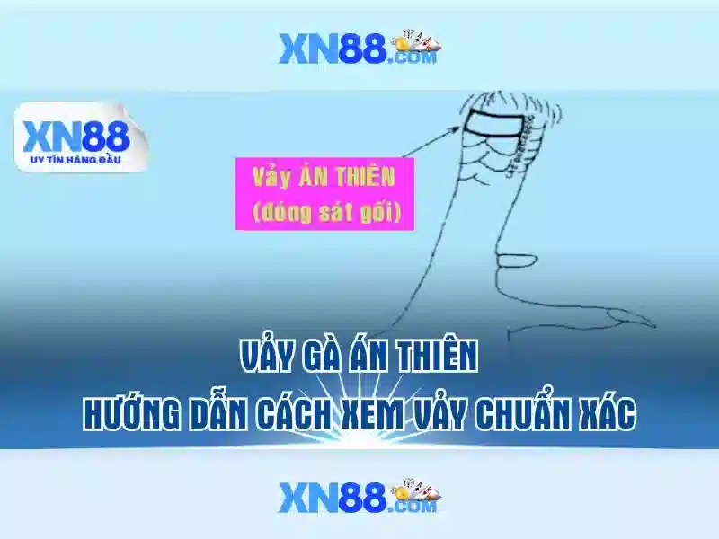xn88 – Nền tảng giải trí trực tuyến và trải nghiệm người dùng
