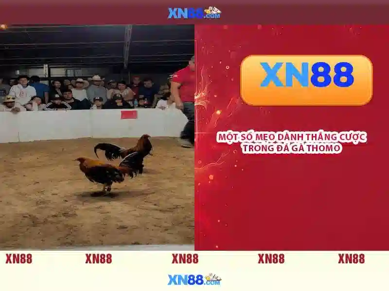 xn88 - Tổng quan và Hướng dẫn tham gia