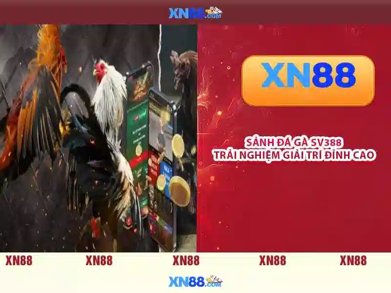 Giới thiệu về xn88