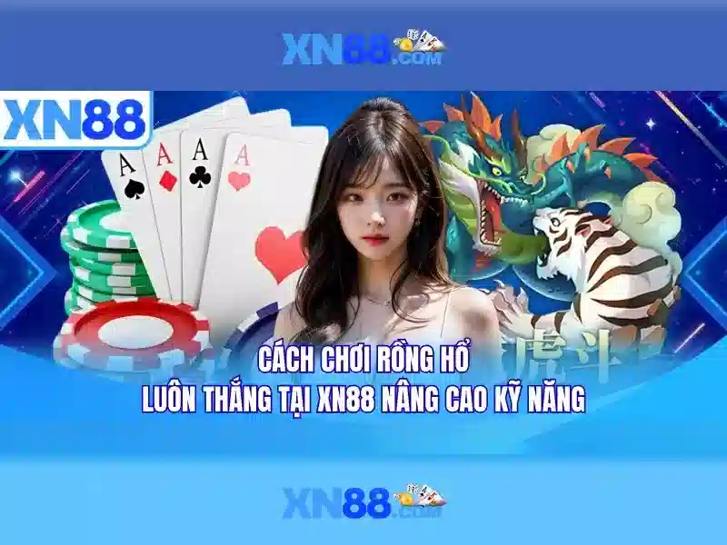 Hướng dẫn sử dụng xn88