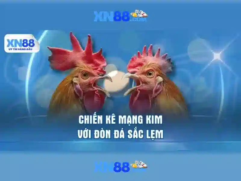 An toàn và bảo mật tại XN88