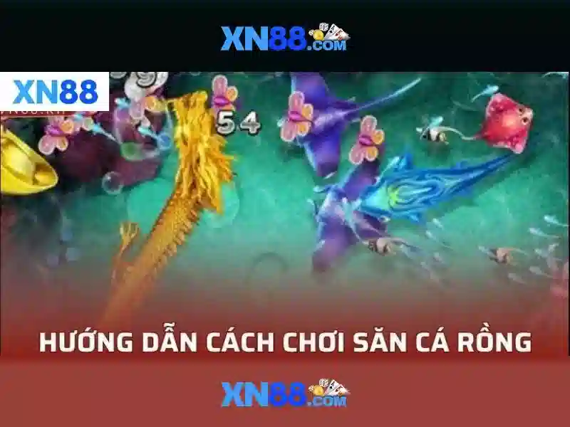 Ứng dụng và cách hoạt động của xn88