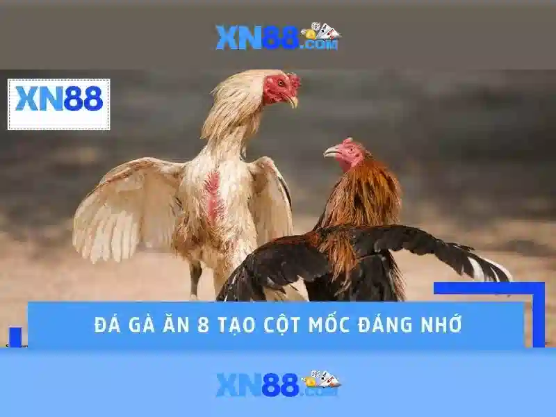 xn88 - Nền tảng cá cược trực tuyến đáng tin cậy