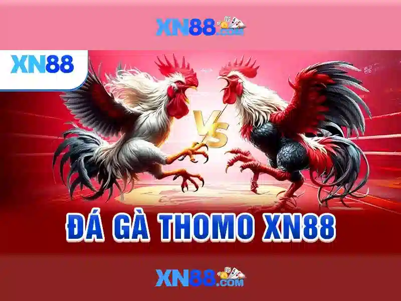 Các sản phẩm và chức năng