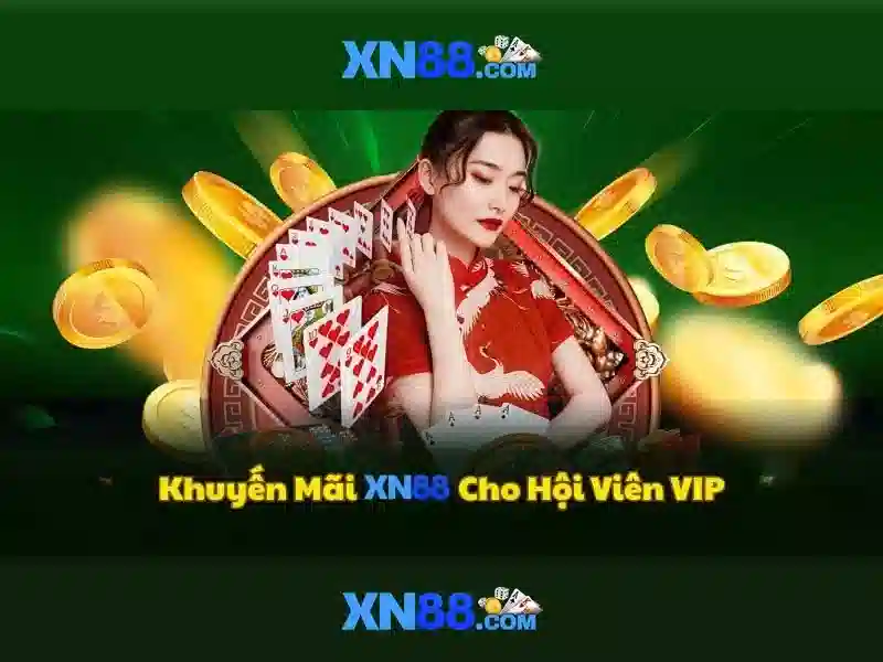 Giới thiệu về xn88