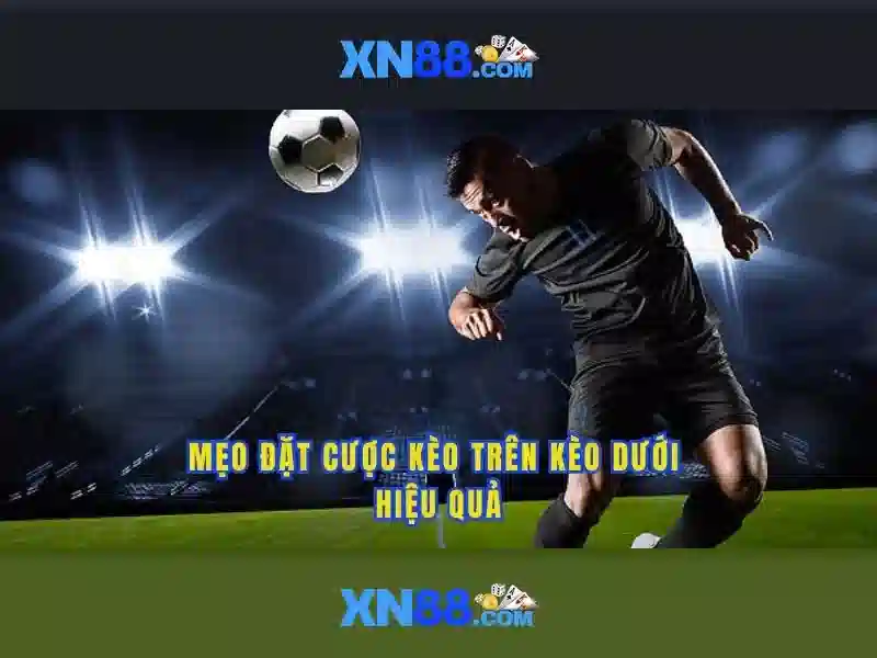 Cách tham gia và an toàn khi chơi trên XN88