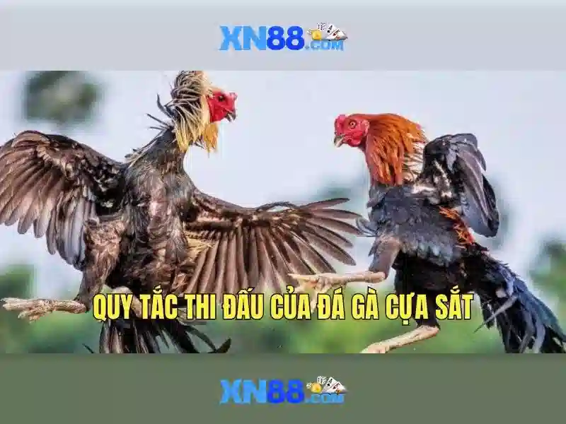 xn88: Tổng quan về một nền tảng giải trí và cá cược trực tuyến