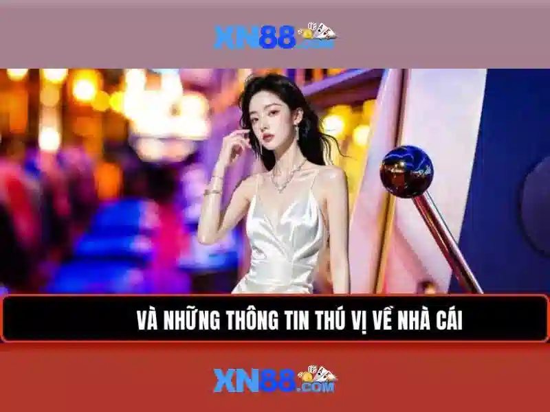 xn88 - một cái nhìn tổng quan về nền tảng và cộng đồng