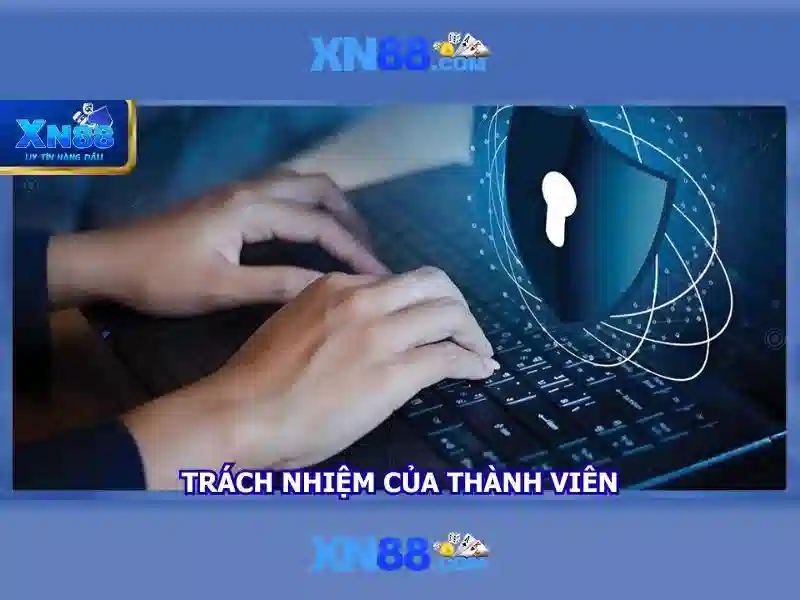 Tính năng và giao diện người dùng của xn88