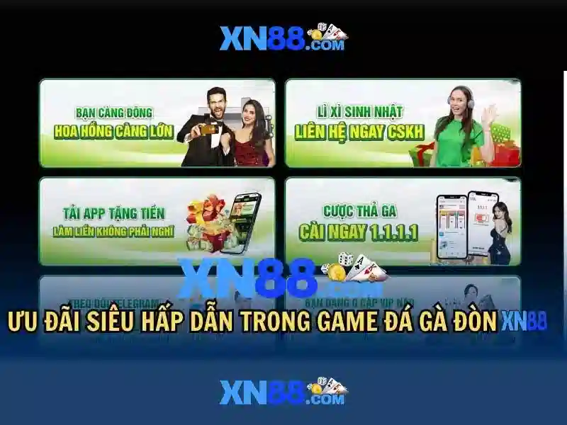 Lịch sử và nguồn gốc của xn88