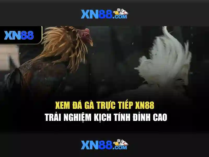 Cấu hình và trải nghiệm người dùng