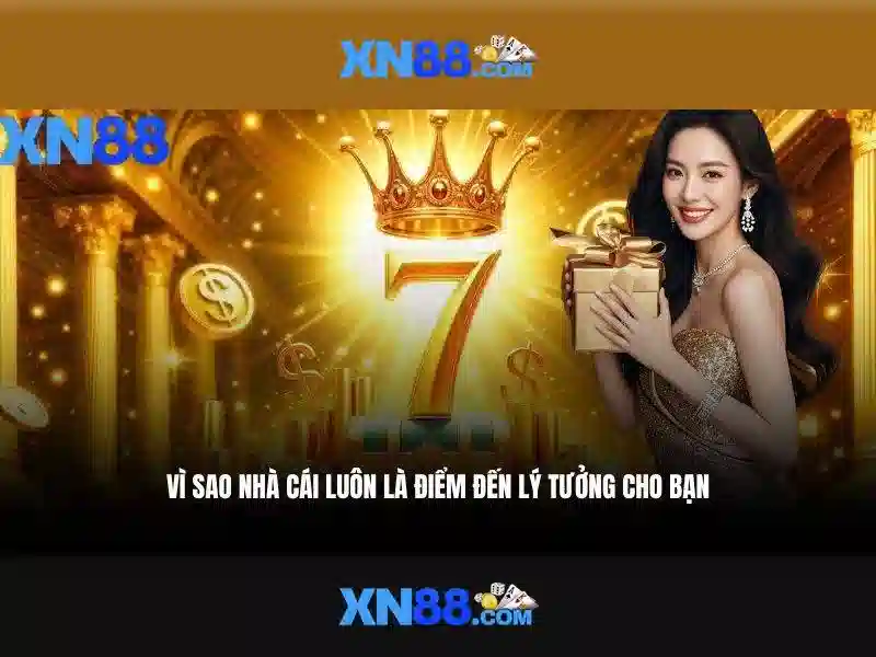 Lịch sử và nguồn gốc