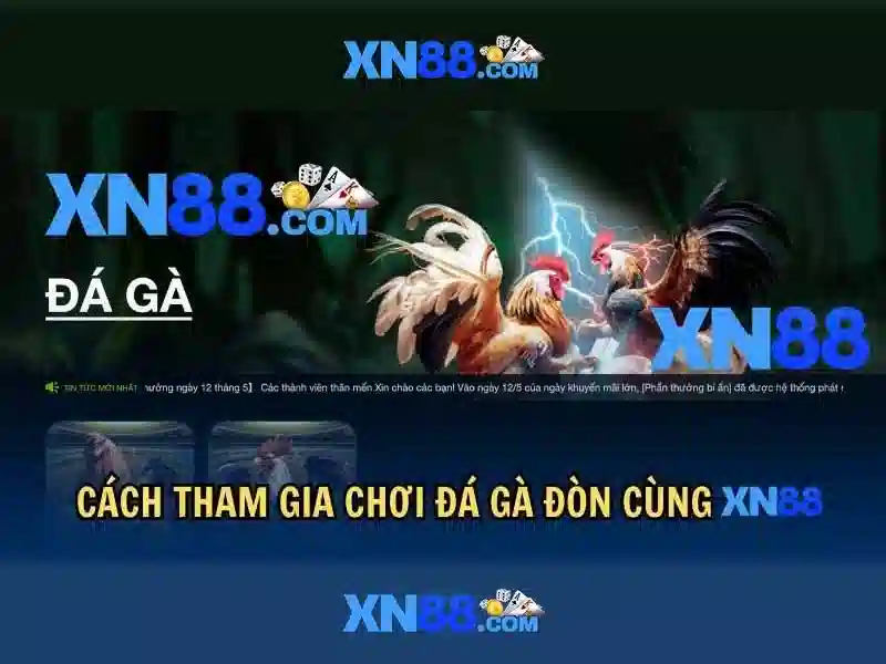xn88: Tổng quan và Đánh giá