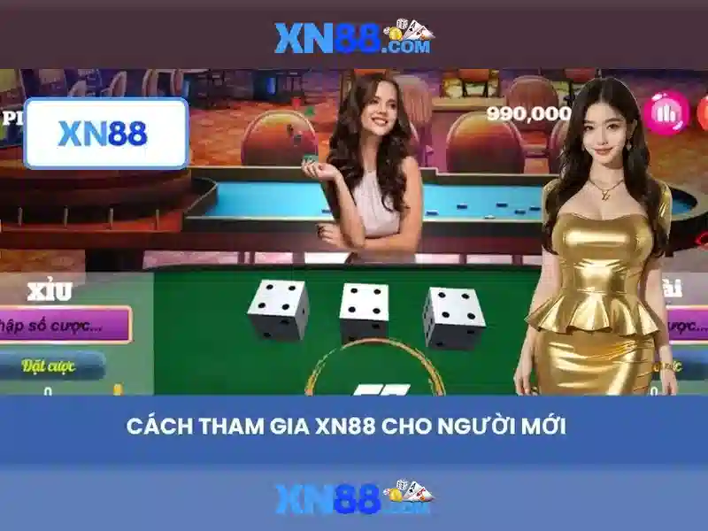 Lĩnh vực hoạt động của xn88