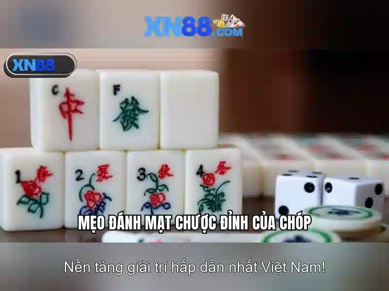 xn88 - Tổng quan và trải nghiệm trực tuyến