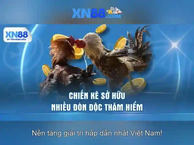 code xn88: Khai phá giá trị và ứng dụng thực tiễn