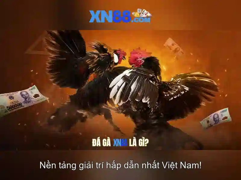 Xn88: Tổng quan và hướng dẫn sử dụng