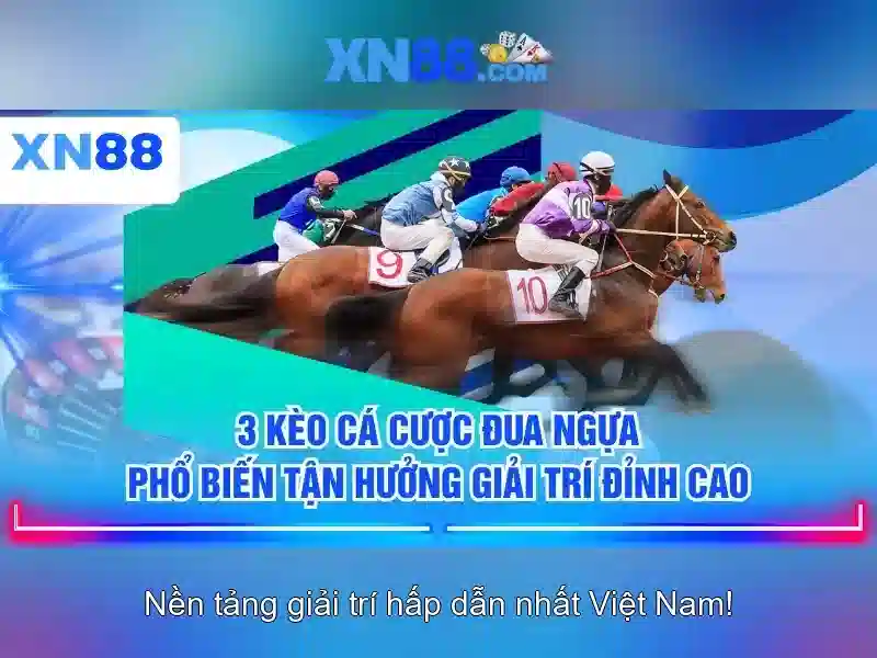 Giới thiệu về xn88
