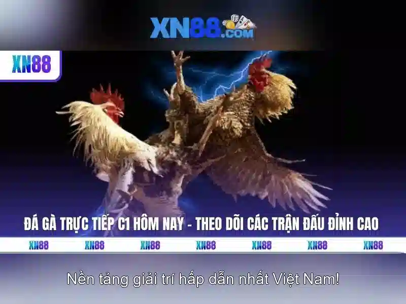 Tính năng nổi bật