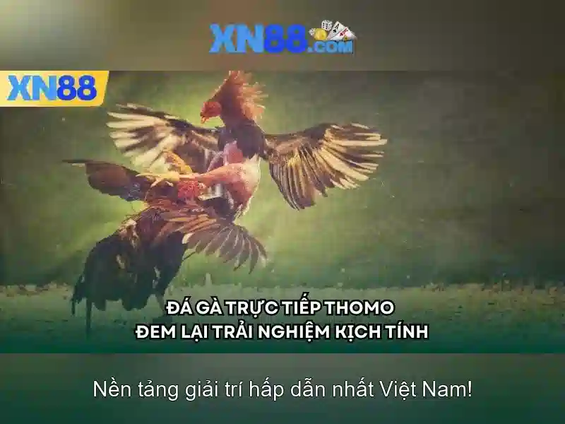 Kênh-hỗ-trợ