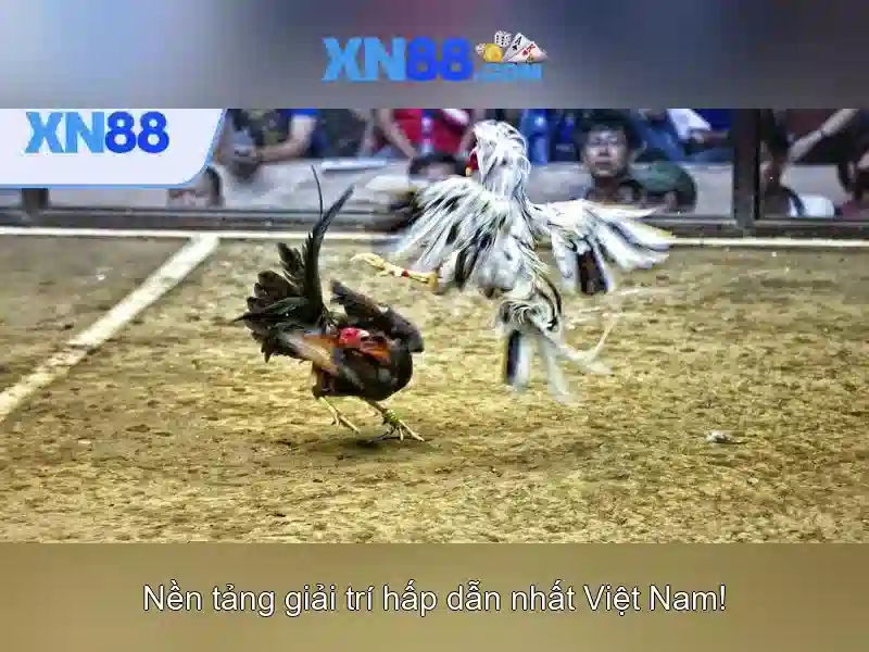 xn88: Nền tảng cá cược trực tuyến cho người chơi Việt