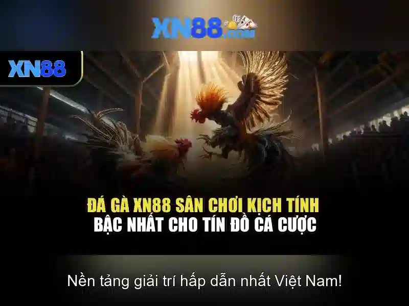 An toàn và thanh toán