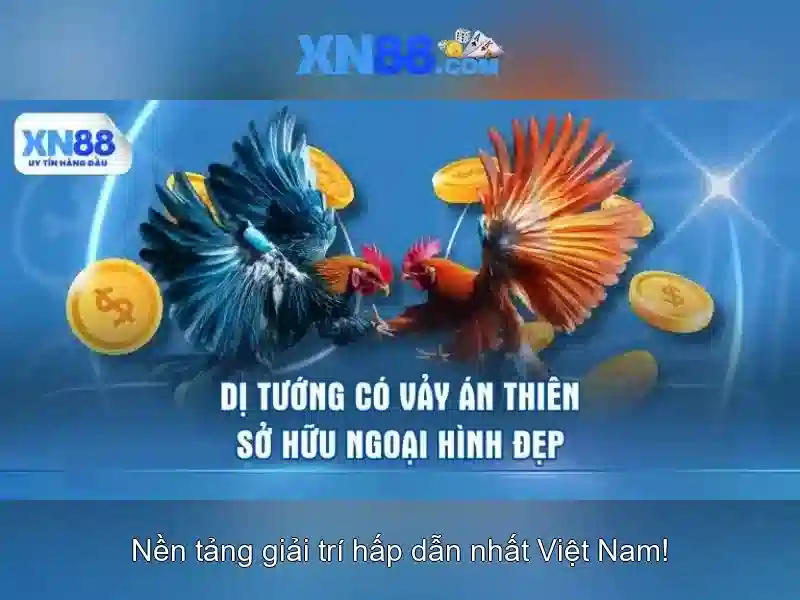 Giới thiệu về xn88