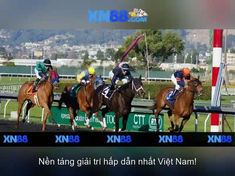 xn88: Tổng quan, an toàn và hướng dẫn chơi