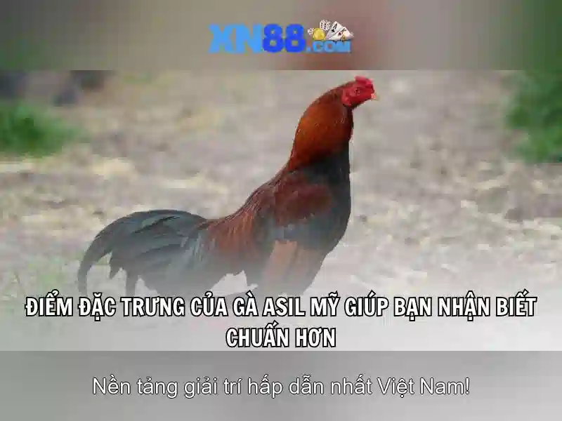 Tải game xn88: Trải nghiệm, đánh giá và an tâm