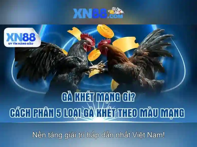 Giao diện cược trực tiếp trên xn88