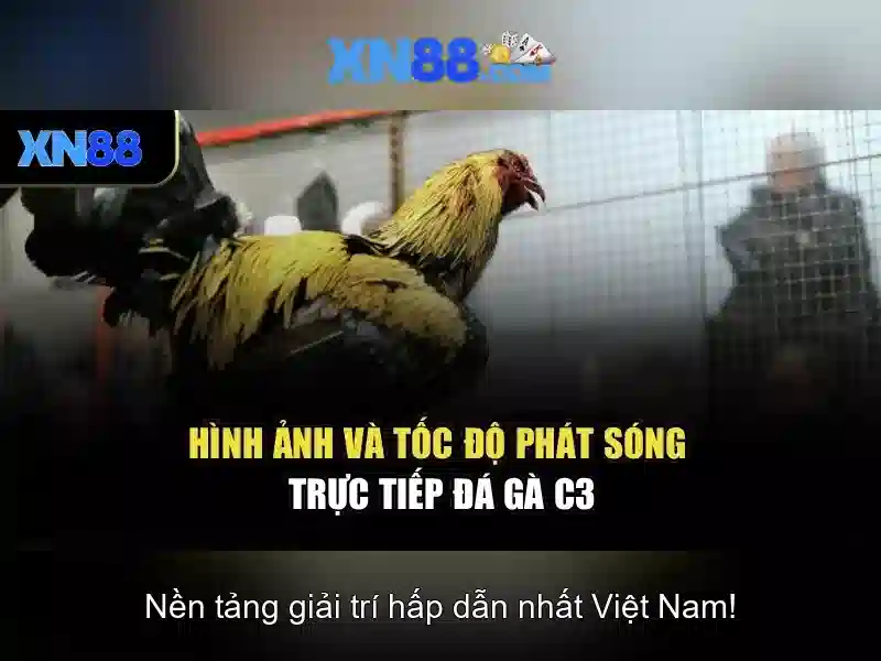 xn88: Giới thiệu tổng quan và đánh giá