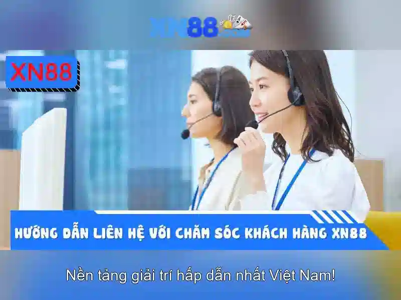 Nền tảng và sản phẩm