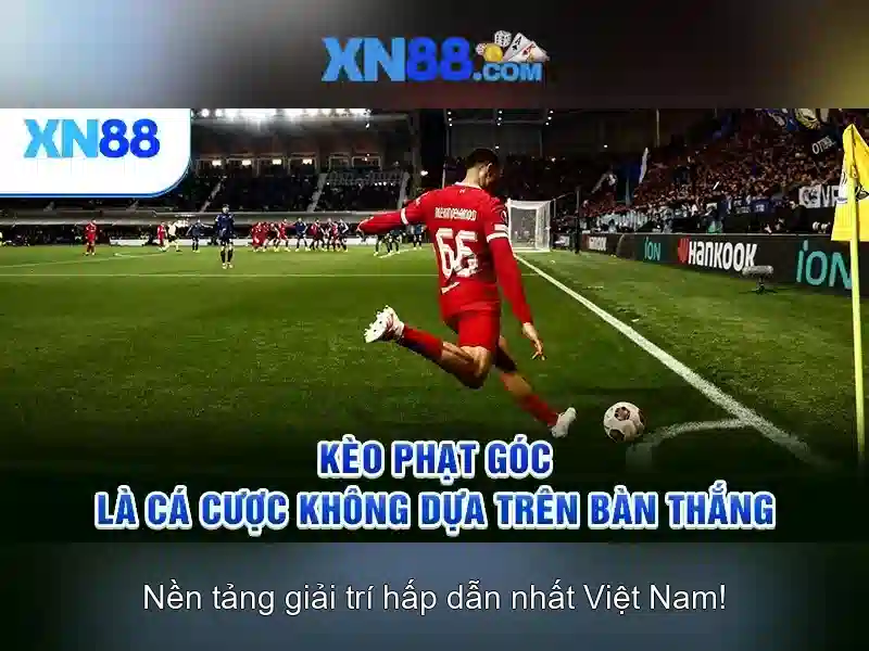 Khái quát về xn88: nền tảng công nghệ và cộng đồng