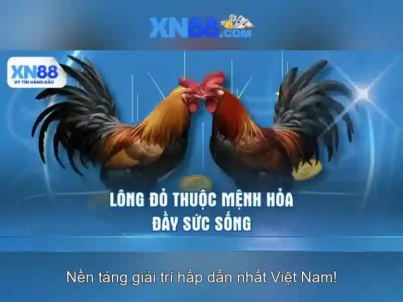 Giao dien va tinh nang cua xn88
