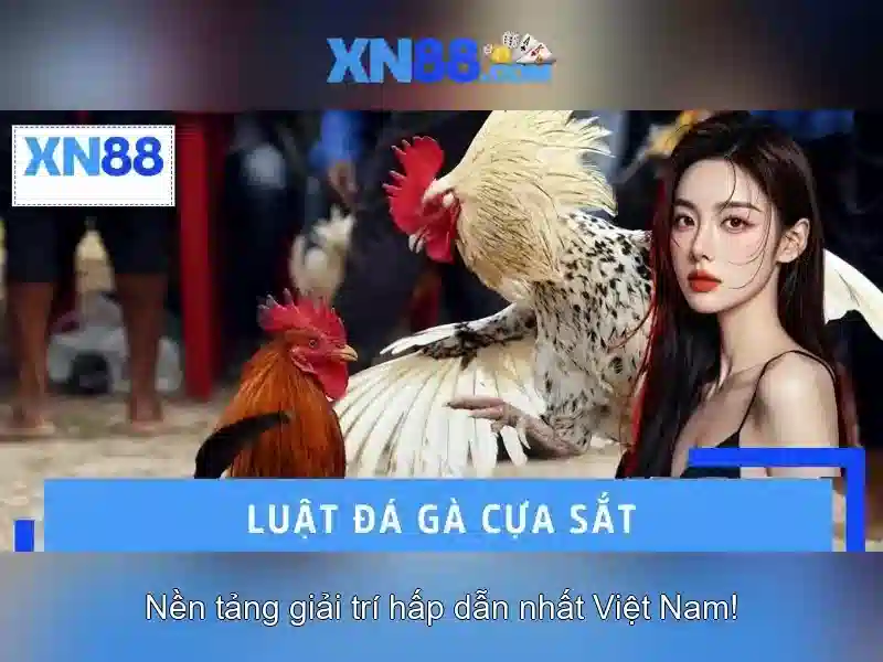 xn88: Khám phá nền tảng cược trực tuyến hàng đầu