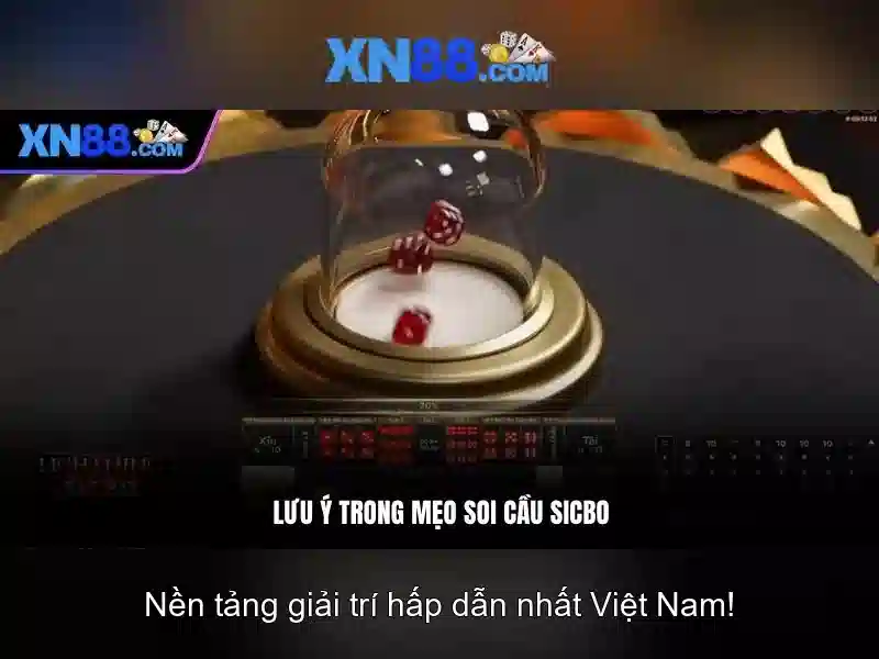 Dịch vụ và sản phẩm
