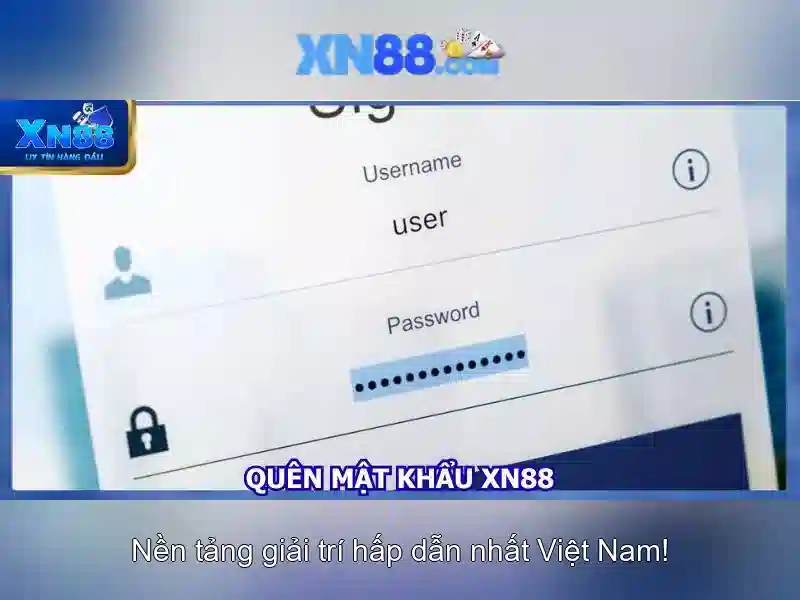 Lưu ý về pháp lý và rủi ro