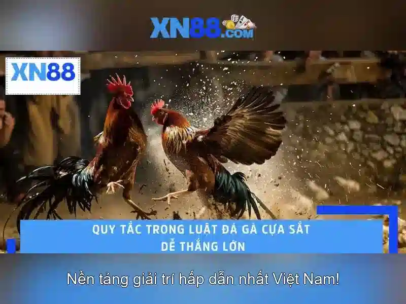 Giới thiệu xn88 - Nền tảng trò chơi trực tuyến uy tín