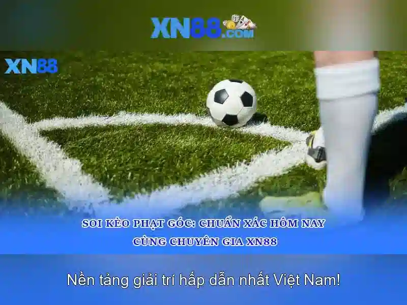 Cách hoạt động và trò chơi phổ biến