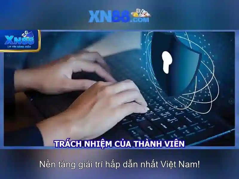 Cách tham gia và lưu ý pháp lý