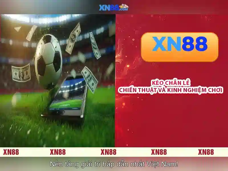 Tính năng và dịch vụ