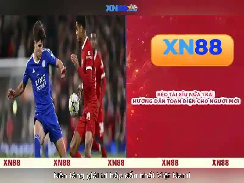 xn88: Giới thiệu về nền tảng cá cược trực tuyến